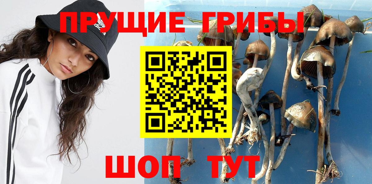 Псилоцибиновые грибы прущие грибы  Псилоцибиновые грибы прущие грибы  Краснокаменск  Вход с VPN 